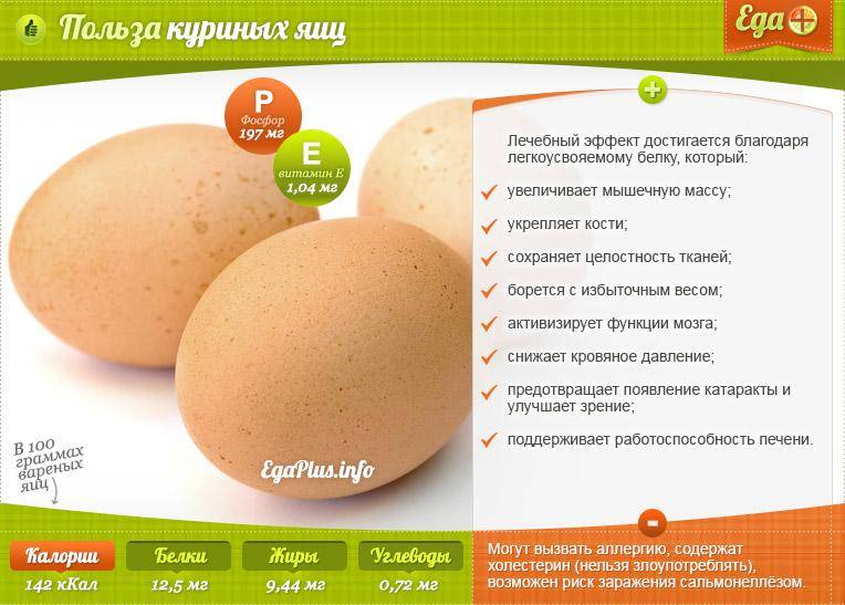 Как правильно определить свежесть куриных яиц в магазине по категории, размеру, цвету, состоянию скорлупы и провести проверку качества в домашних условиях