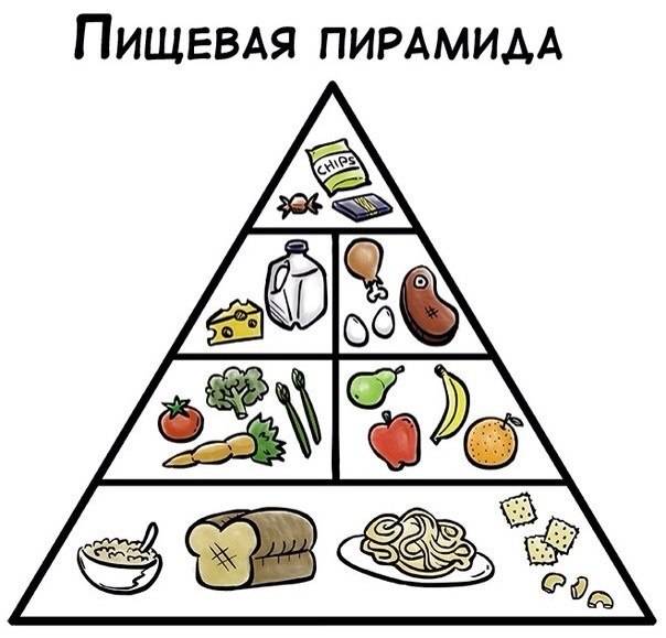 Пищевая пирамида для детей и взрослых