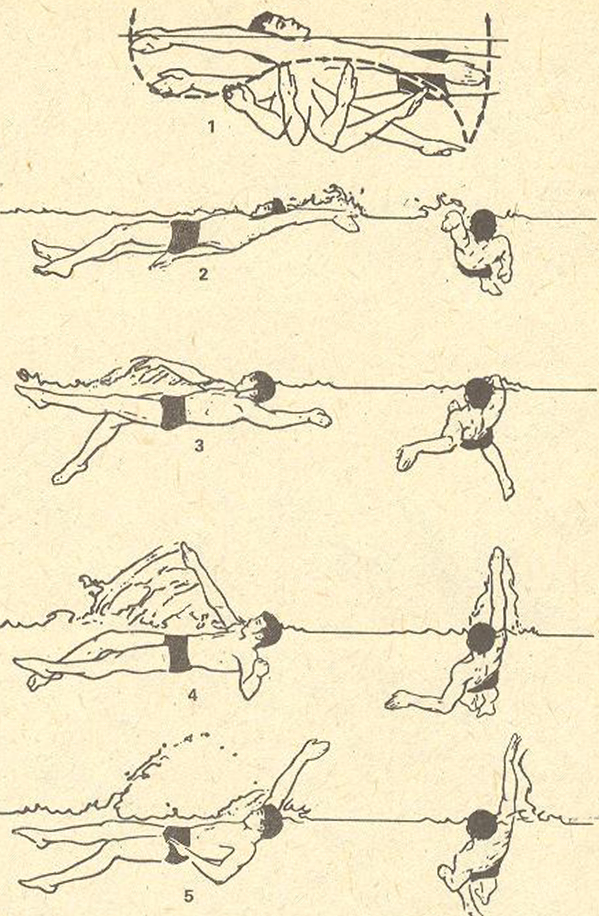 Кроль на спине плавание быстро. Кроль техника плавания Кроль. Стиль плавания Кроль техника. Как правильно плавать кролем. Техника плавания кролем.