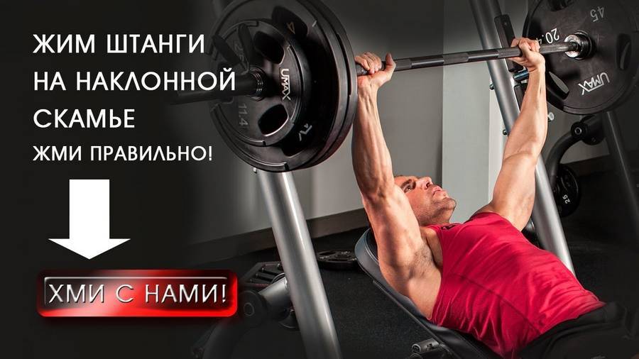 7 ошибок при жиме лежа - dailyfit