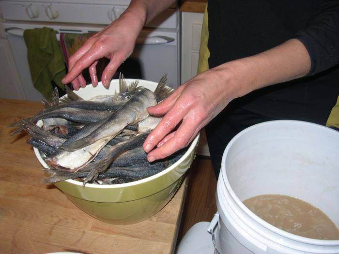 Засолка горбуши под сёмгу в домашних условиях: рецепты с фото + видео