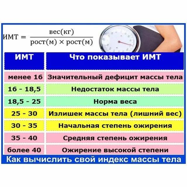 Калькулятор индекса массы тела (имт): рассчитать по росту и весу