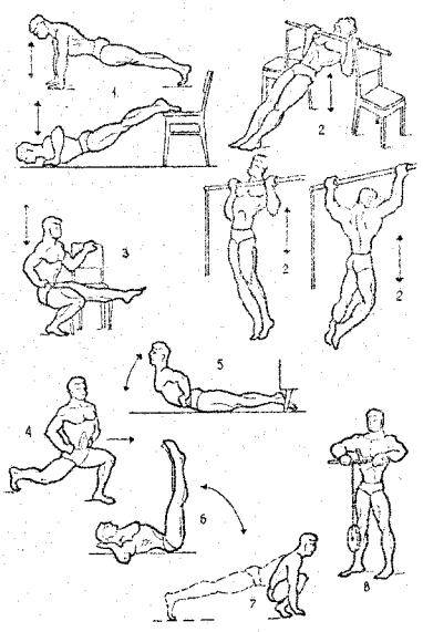 Атлетическая гимнастика упражнения. Комплекс атлетической гимнастики. Атлетическая гимнастика комплекс силовых упражнений. Гимнастика: атлетическая гимнастика комплекс упражнений. Атлетическая гимнастика комплекс упражнений для мышц.