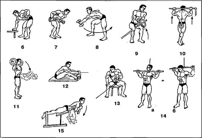 Топ-10 базовых и изолирующих упражнений для глубокой прокачки спины + лайфхаки от тренера