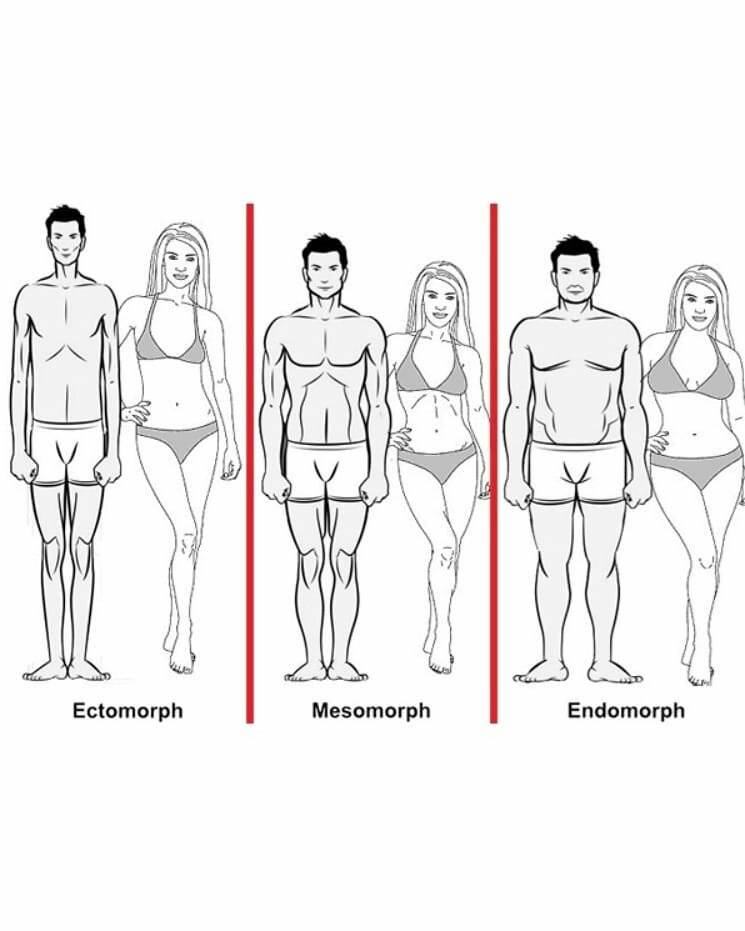 Как определить тип телосложения по запястью: способы и методы определения, показатели, особенности
