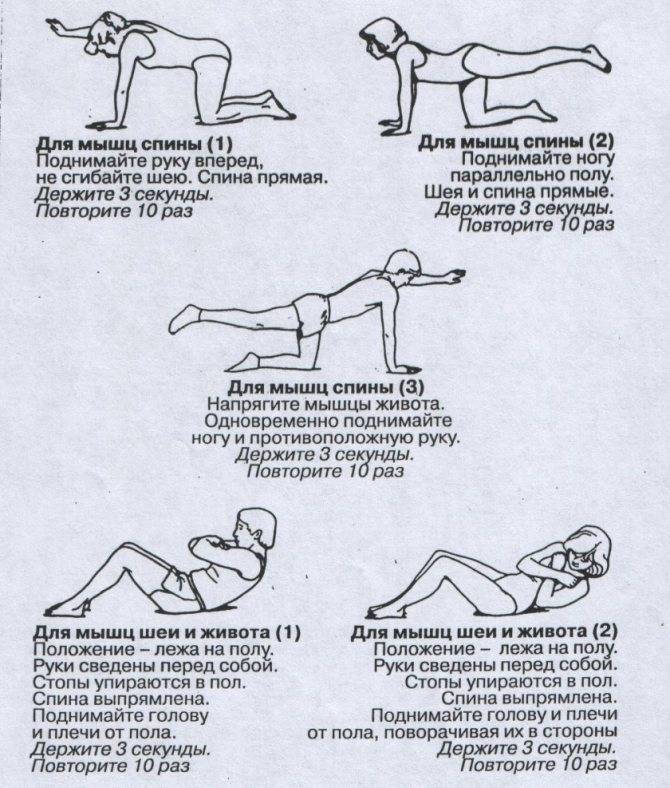 Упражнения для спины: как накачать мышцы спины в домашних условиях мужчине