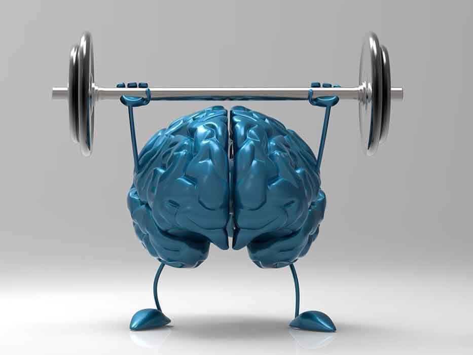 Наука мозга: интересные факты — блог викиум