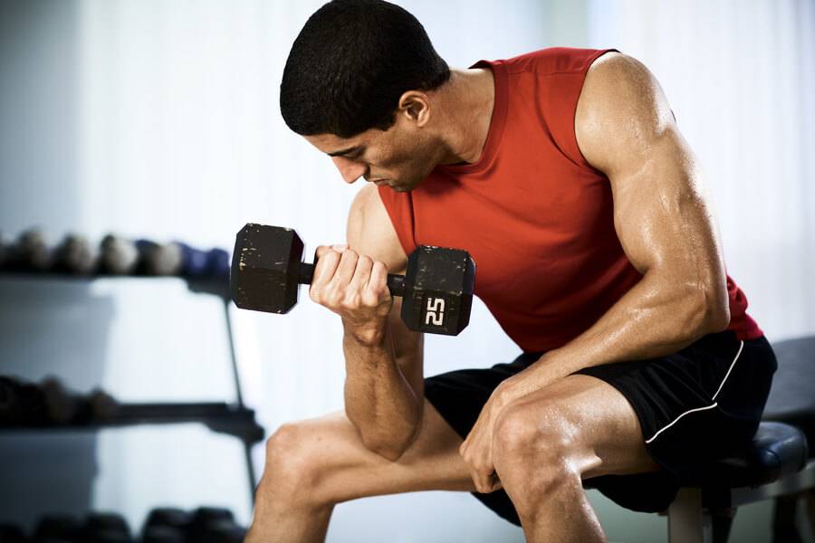 Можно ли тренироваться каждый день на разные группы мышц