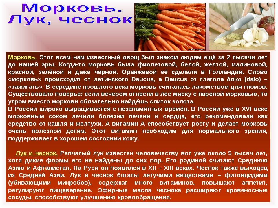 ✅ морковь калорийность на 100 грамм сырой и польза и вред - irina-kuzmina.ru