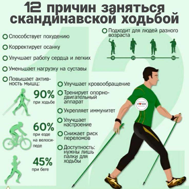 Польза ходьбы: пешком, чем полезна, что такое, виды, организма, для, вред, как правильно, похудения, быстрая, мужчин, женщин, мышцы