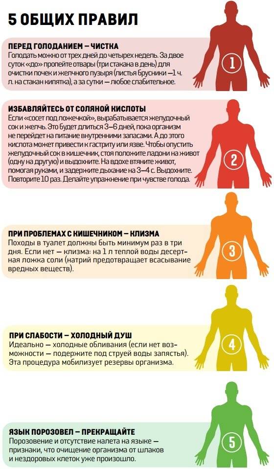 Однодневное голодание: как правильно голодать 1 день, польза и вред, отзывы  - medside.ru