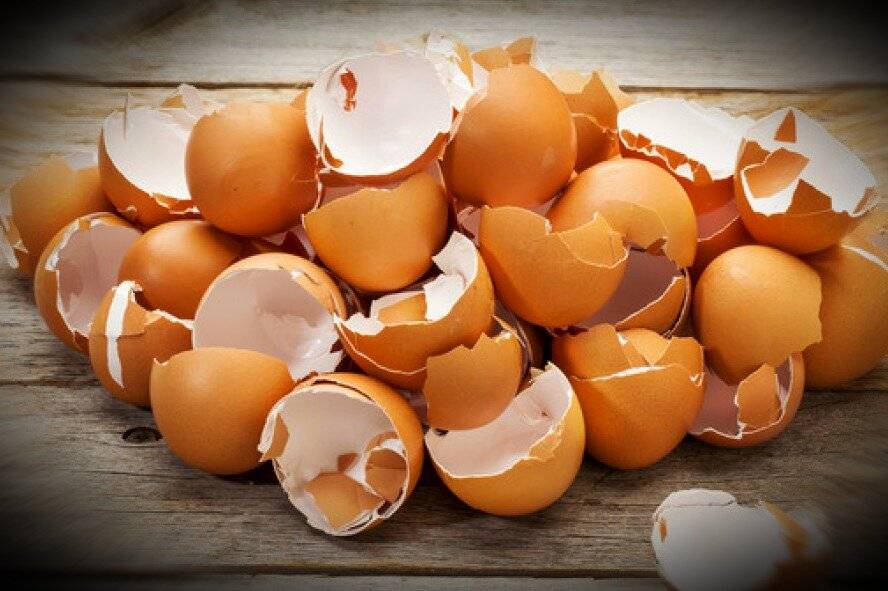 Использование скорлупы яиц при артрозе соотношение пользы и вреда