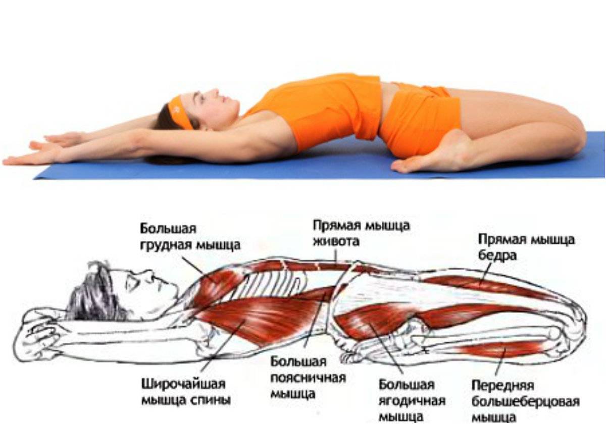 Принципы правильной растяжки. как тянуться не травмируя связки.