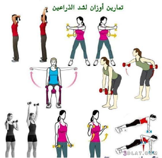 Упражнения с гантелями в домашних условиях для женщин: комплекс тренировок для похудения девушки, занятия на руки