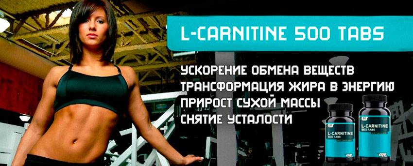 L-карнитин: инструкция по применению, как принимать для похудения женщинам и мужчинам