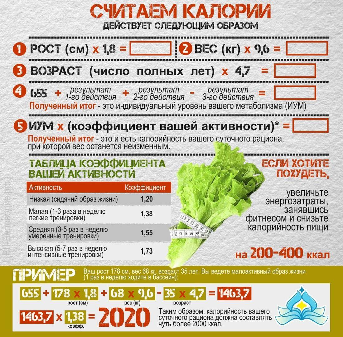 План питания при дефиците калорий