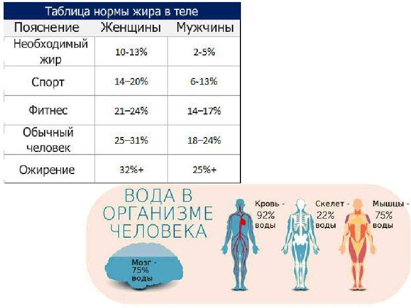Норма процента жира в теле мужчины и женщины: сколько должно быть жира в организме