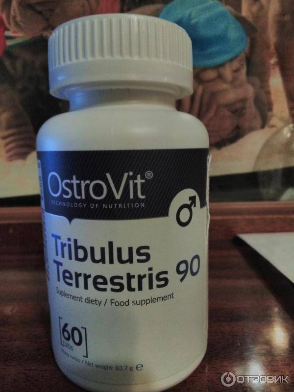 Tribulus от Ostrovit