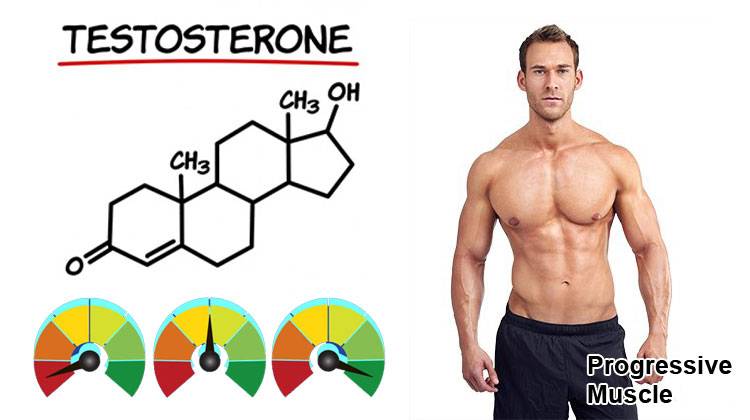 Тестостерон у женщин, как повысить тестостерон - лечебно-диагностический центр нейрон (таганрог)