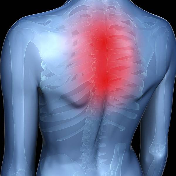 Почему болит спина - причины боли, виды, диагностика и лечение
