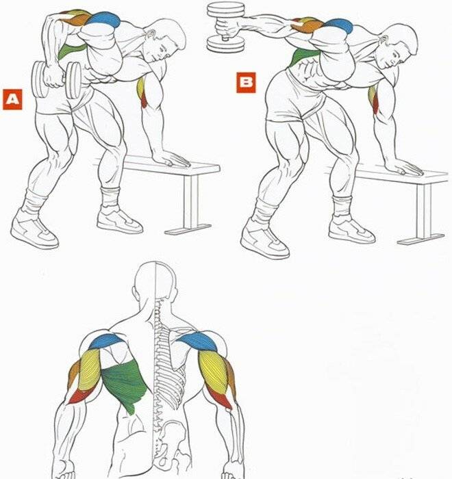 Упражнения на трицепс: как накачать трехглавую мышцу в домашних условиях мужчине