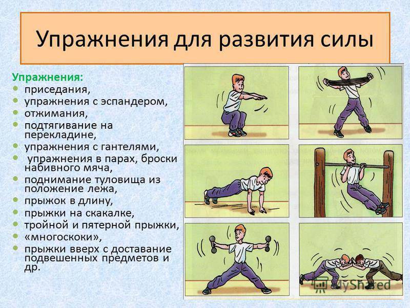 Развитие силы мышц - средства, методы, упражнения для тренировки физической силы