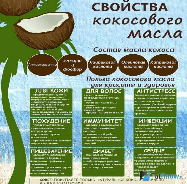 Польза кокосов для организма человека