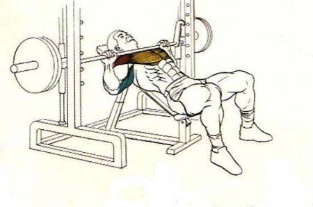 Жим штанги на наклонной скамье — проработка грудных мышц