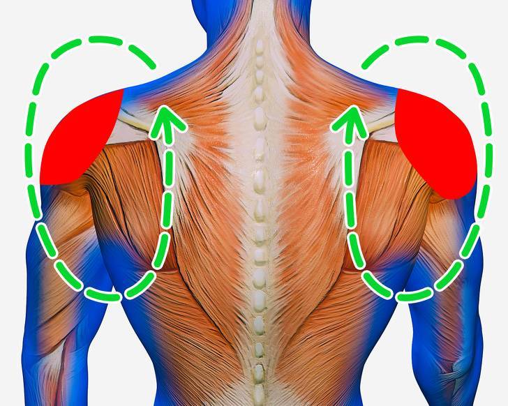Лечение спазмов мышц спины - первая помощь, возможные последствия, методы лечения