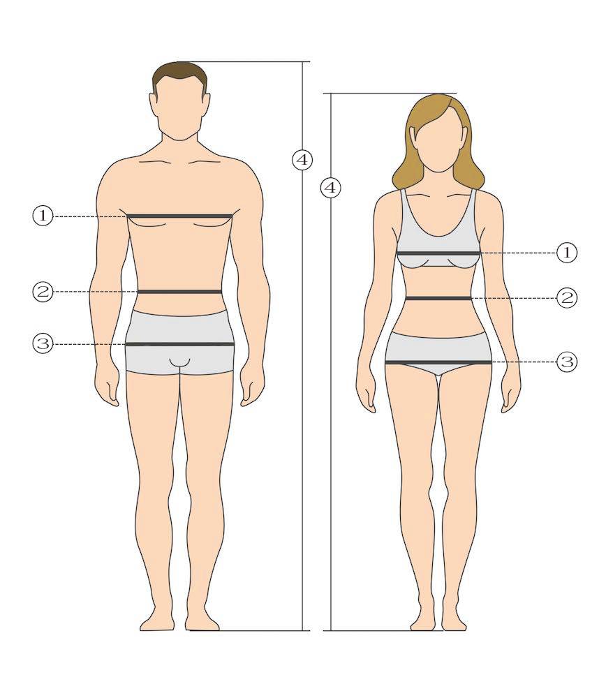 Идеальные пропорции мужского тела: таблица соотношения параметров