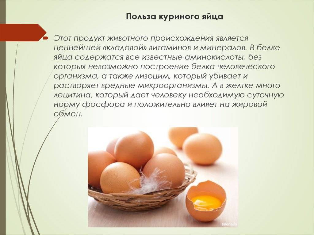 Яичный желток — полезные свойства и вред | польза и вред