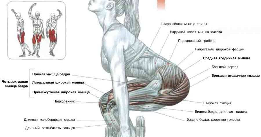 Как быстро накачать грудные мышцы