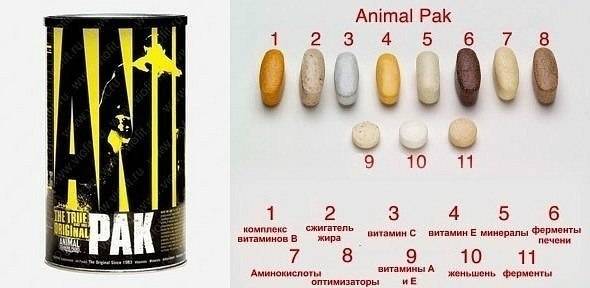 Обзор минерально-витаминного комплекса animal pak от universal nutrition
