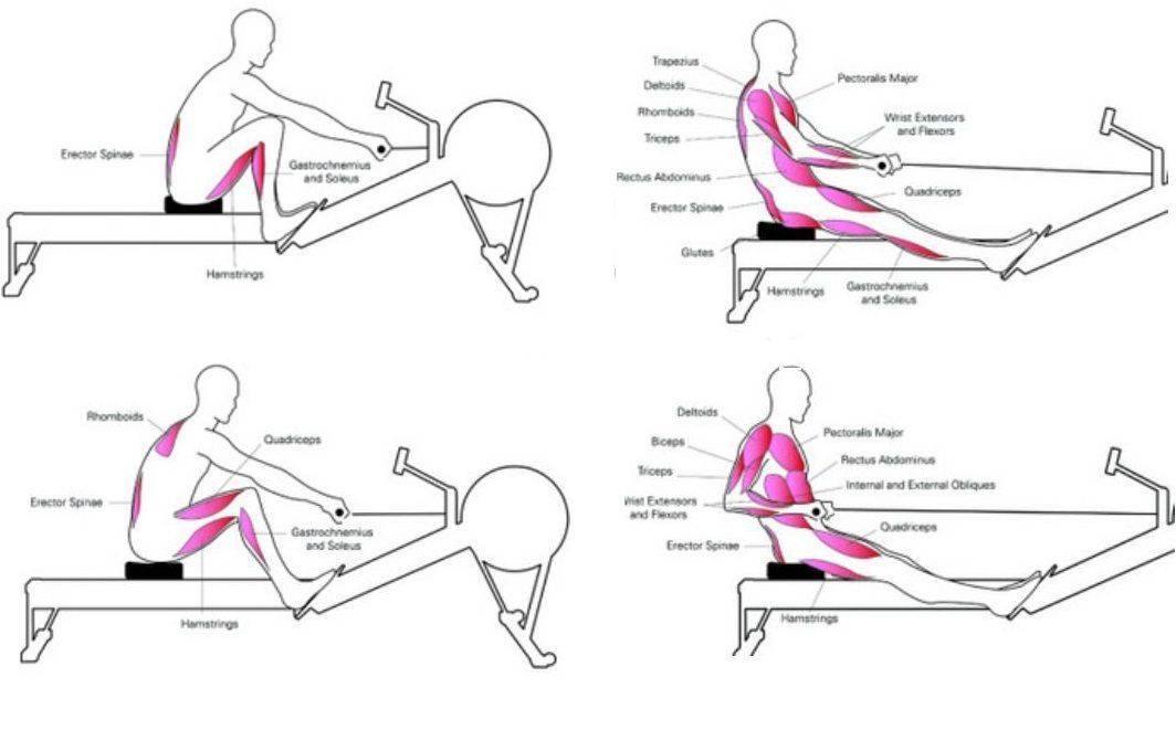 Упражнения на степпере: какие мышцы тренирует и как правильно заниматься на тренажере | rulebody.ru — правила тела