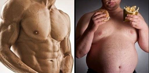 Как жир превратить в мышцы - в спортзале и дома