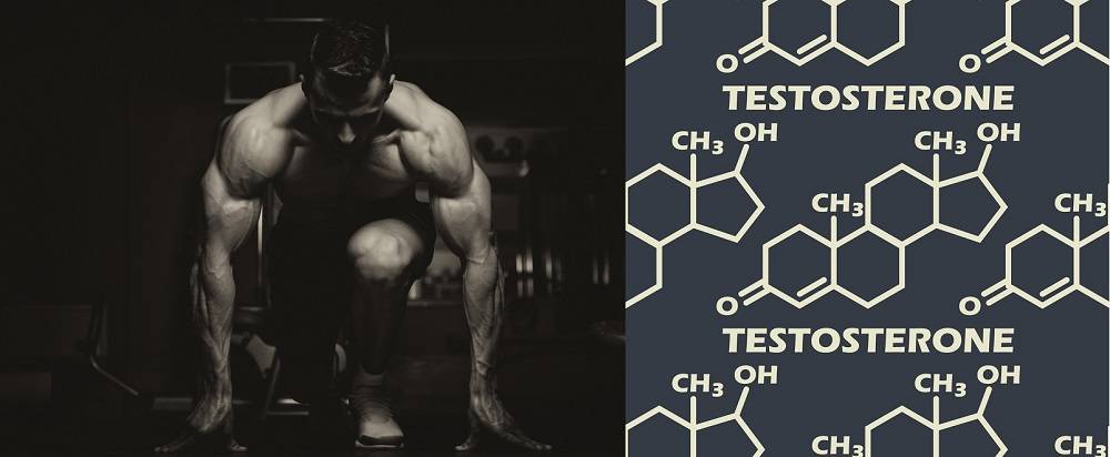 Повышение тестостерона у мужчин препаратами и естественным путём