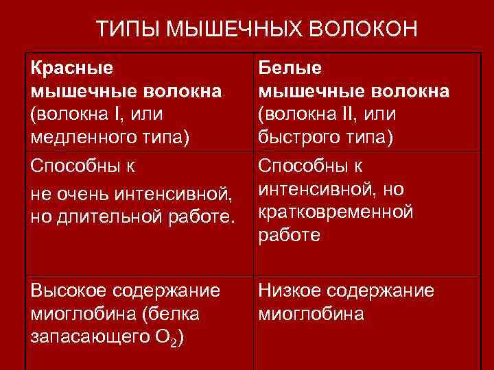 Строение локализации и общие свойства быстрых и медленных мышечных волокон презентация