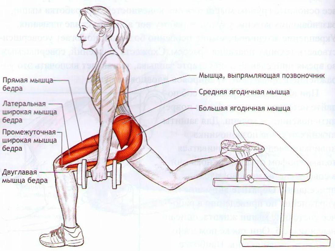 Упражнения для ног: как накачать ноги с помощью эффективных техник