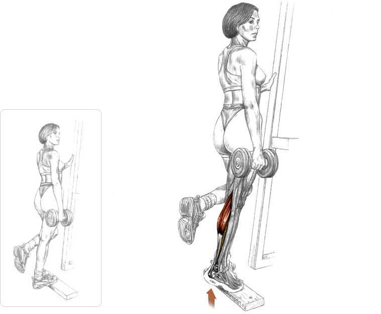Подъем на носки: разработка икроножных мышц. топ-30 самых эффективных тренировок для мужчин и женщин! изучаем все тонкости и секреты