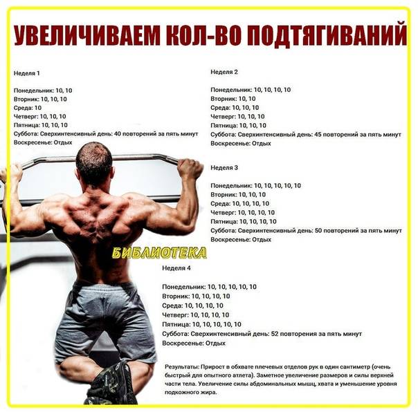 Программа тренировок на турнике и брусьях: базовые упражнения - tony.ru
