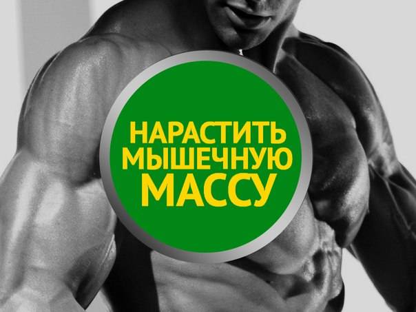 Почему не растет мышечная масса – что делать, рекомендации для тренировок