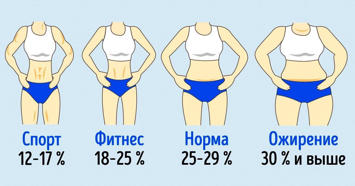 Процент жира в организме: норма для мужчин и женщин, способы измерения