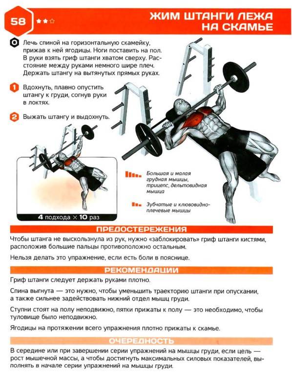 Читать книгу начальная тяжелоатлетическая подготовка в. мишустин : онлайн чтение - страница 19