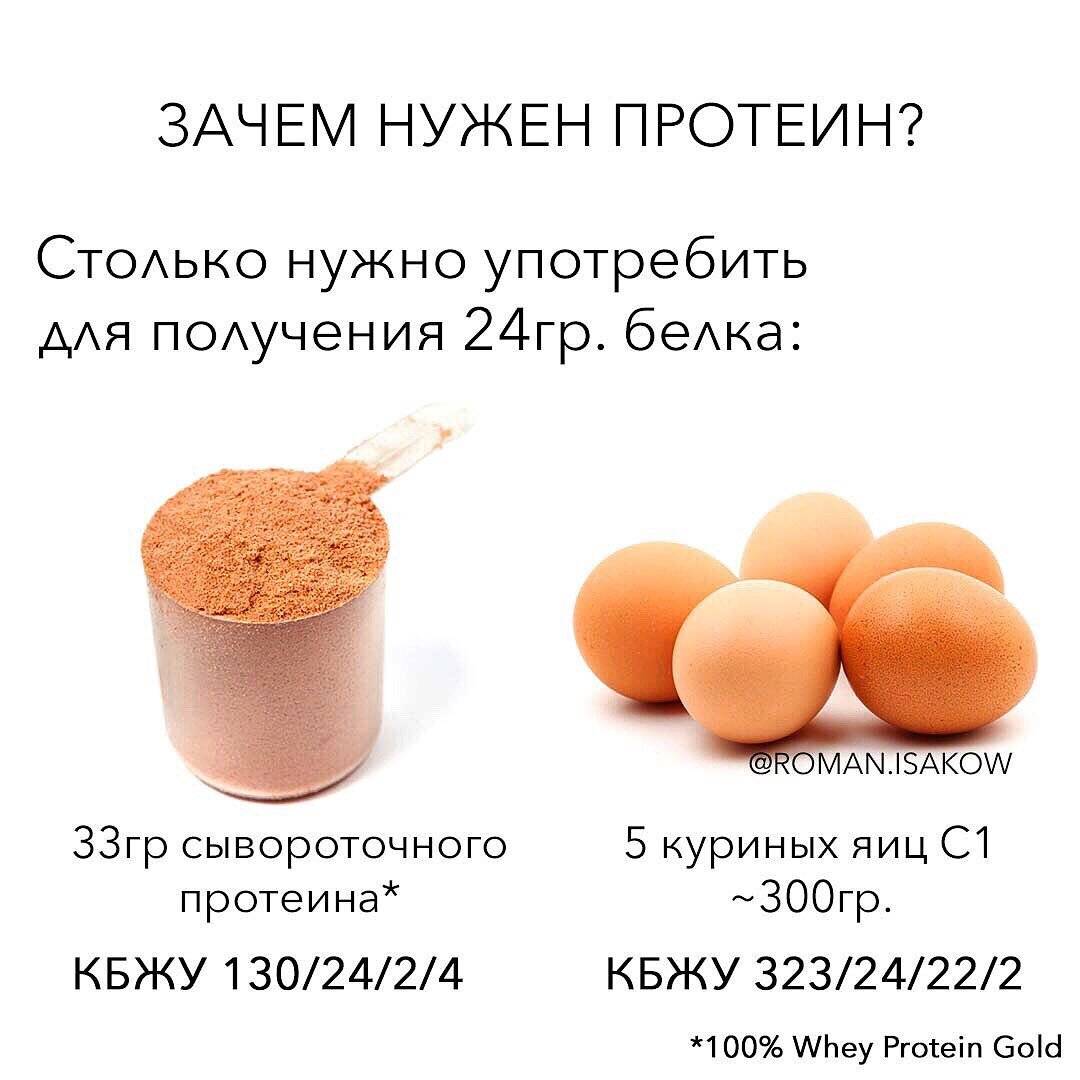 Протеиновый коктейль из яиц: как приготовить, лучшие рецепты