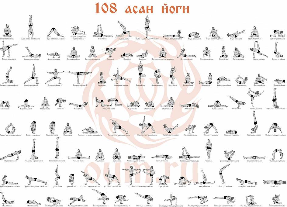 Топ-30 асан из йoги для начинающих: подборка с фото