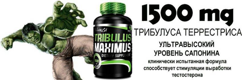 Трибестан (tribestan®)