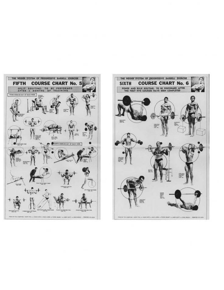 Джо вейдер - система строительства тела (глава 21 атлетизм для других видов спорта) » фатальная энергия