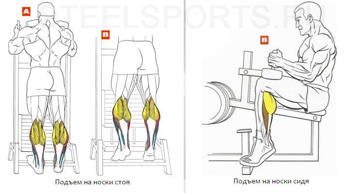 Упражнения для женщин на ноги (икроножные мышцы): делаем красивые икры в домашних условиях | rulebody.ru — правила тела