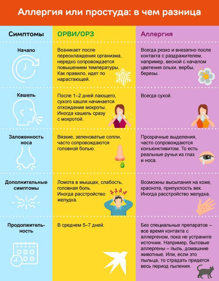 Чем и как лечить насморк в домашних условиях