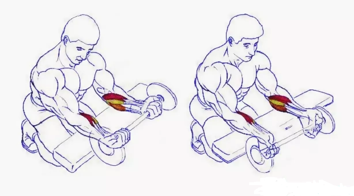 Армрестлинг тренировки: система упражнений для верха, рук, связок и кистей